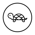 Turtle Icon